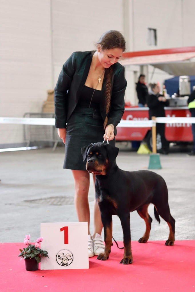 CH. Wds baby jeune champ. multi chp inter unika queen des Gardiens du Lagoon